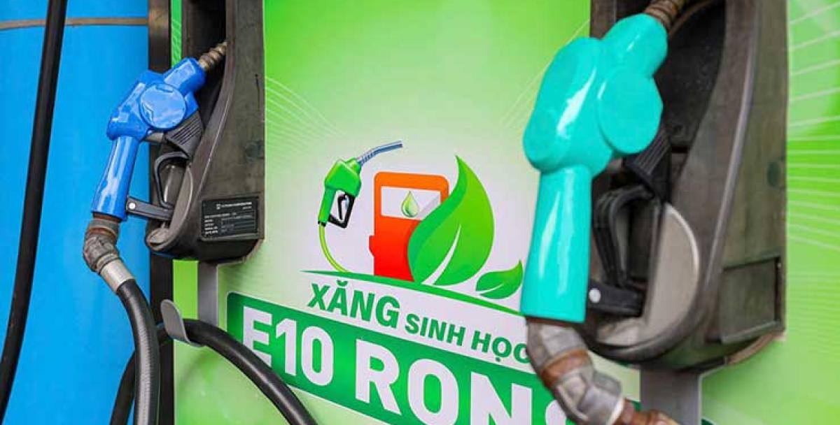 Sớm triển khai lộ trình sản xuất và sử dụng nhiên liệu sinh học